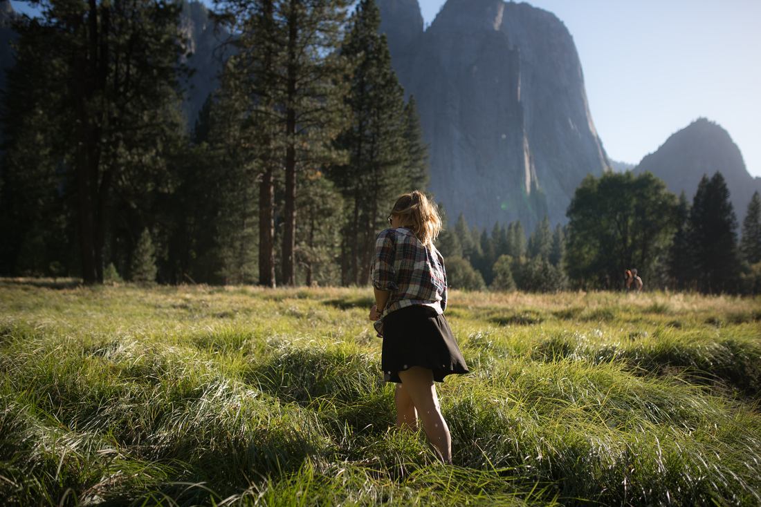 Yosemite Meadow