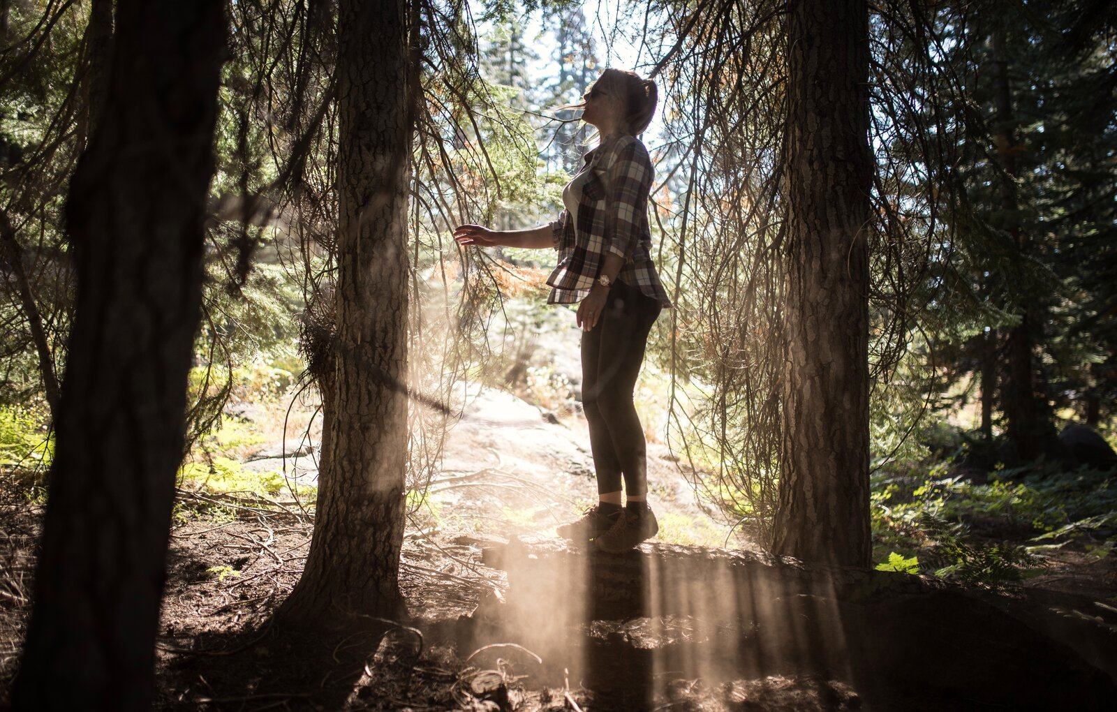 Au milieu de la forêt