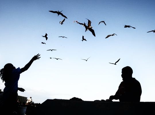 Belize, pays latino, créole et rastafari 