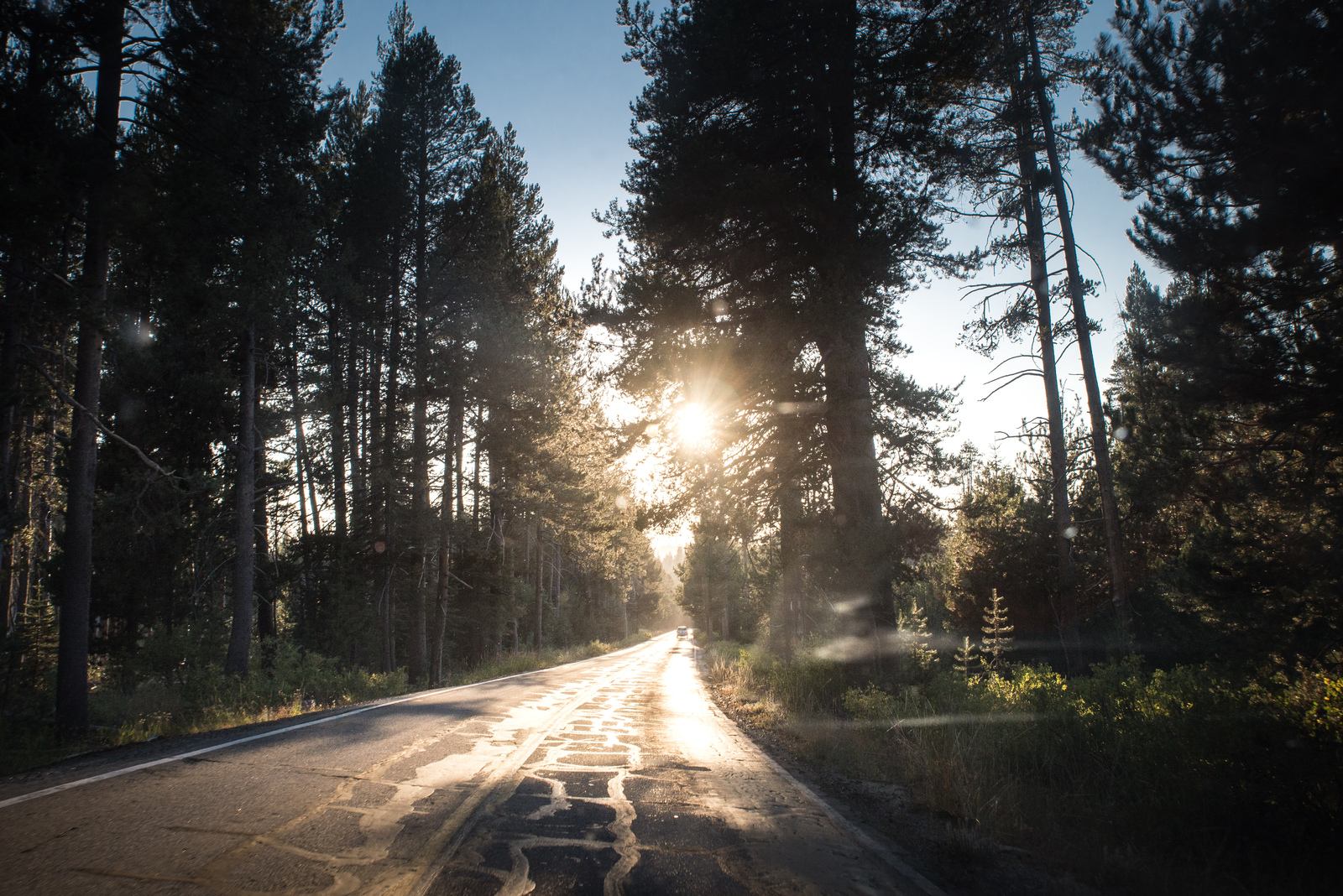 Tioga road de Yosemite