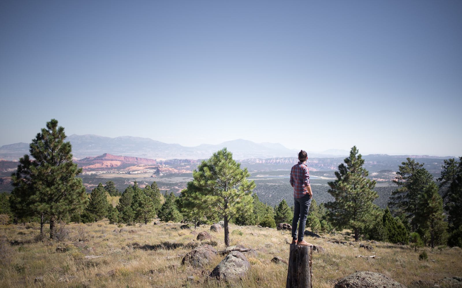 Quand tu poses comme un piquet Quand tu poses comme un piquet