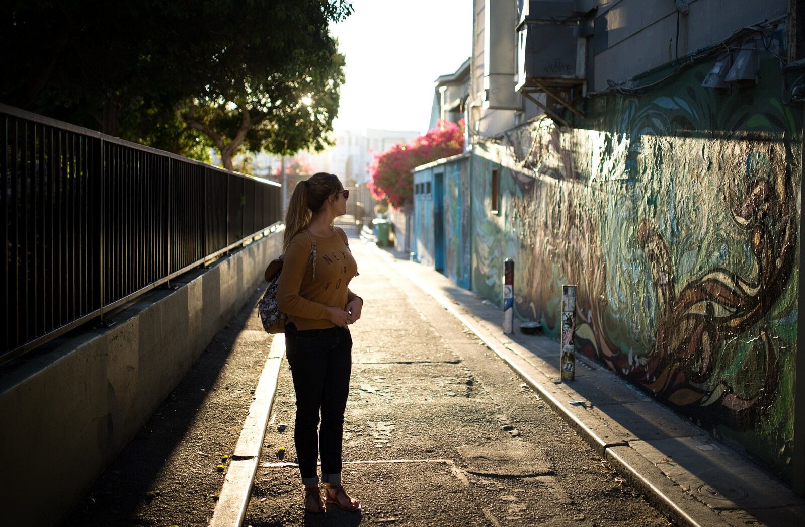 Street art dans les rues de Mission District Street art dans les rues de Mission District