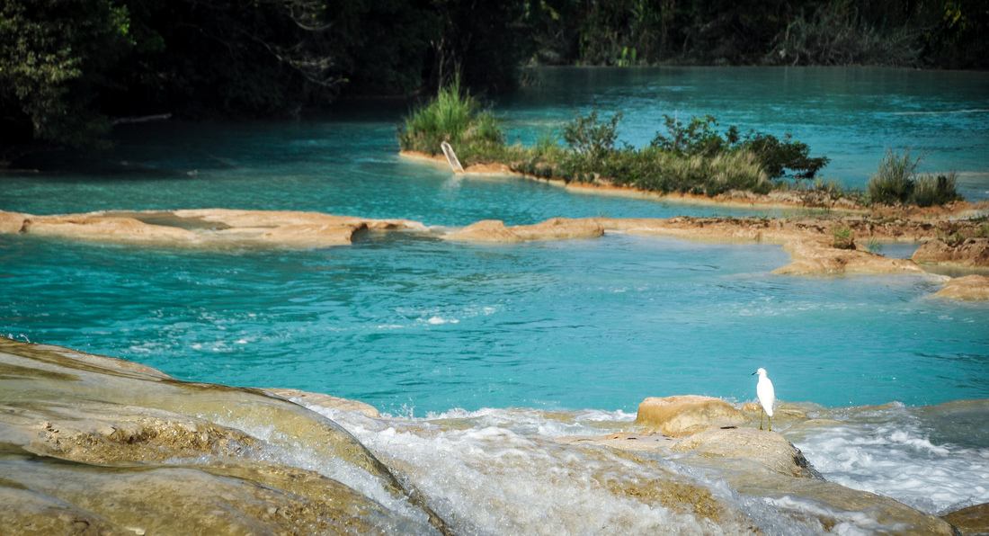 Les eaux bleues d'Agua Azul au Mexique