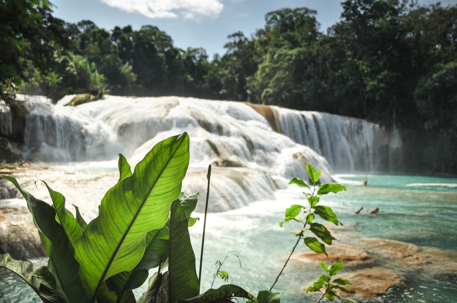 Végétation et cascades d'Agua Azul