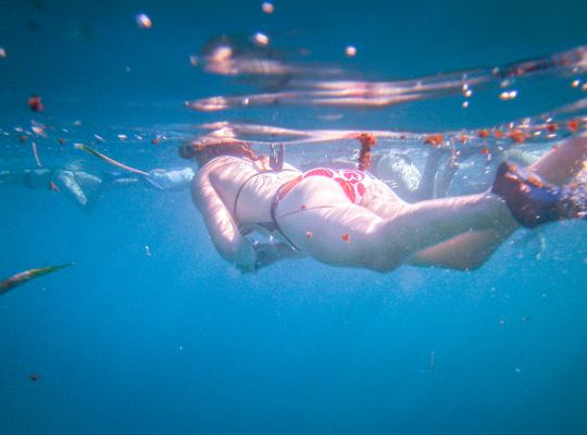 Faire de la plongée au Belize