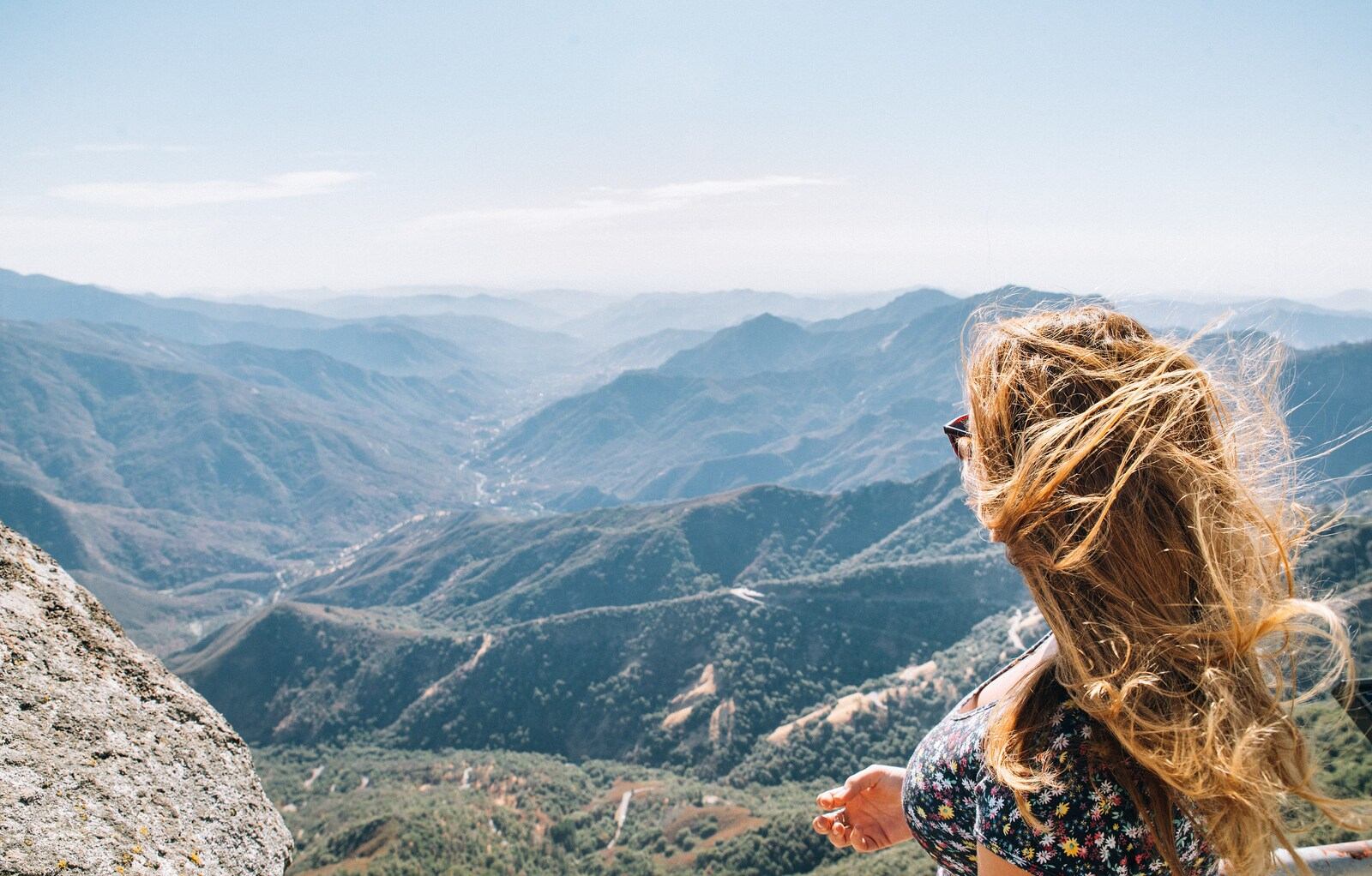 Vue Panoramique, Séquoia NP Vue Panoramique, Séquoia NP