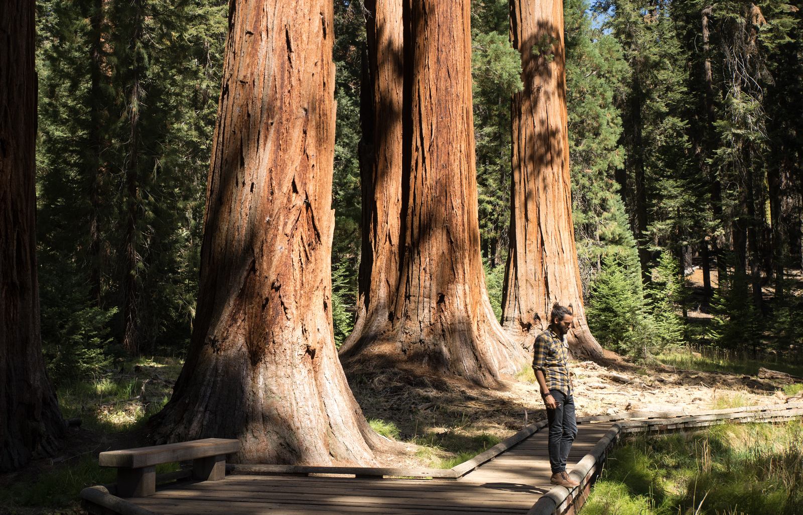 Crescent Meadow Trail