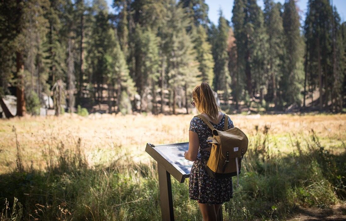 Crescent Meadow, Sequoia NP