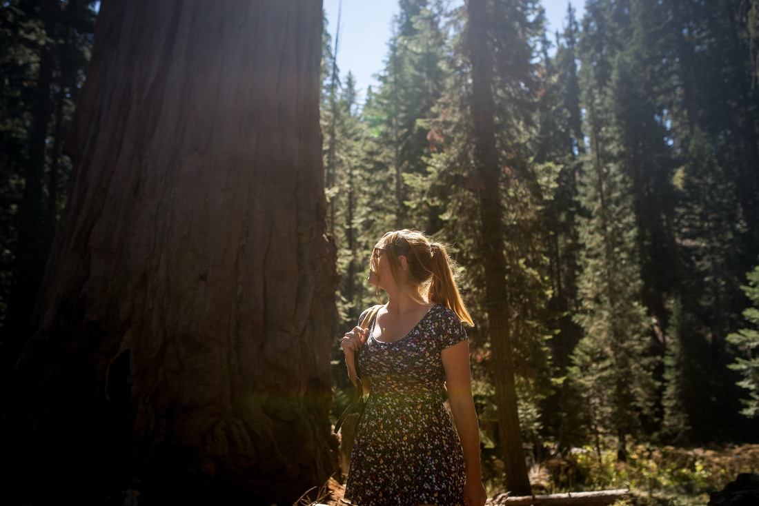 Manue, Sequoia