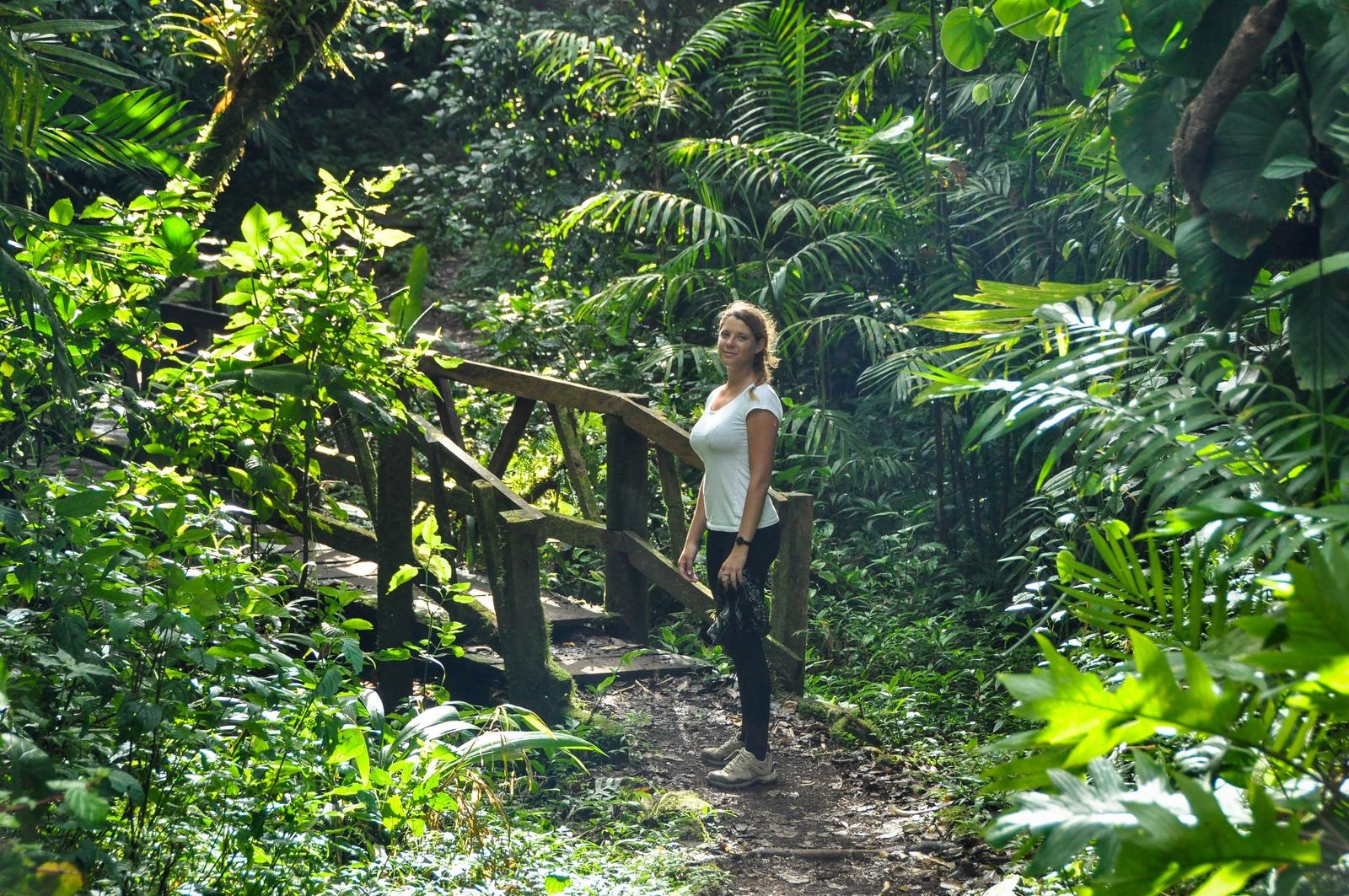 Découverte du volcan de Mombacho
