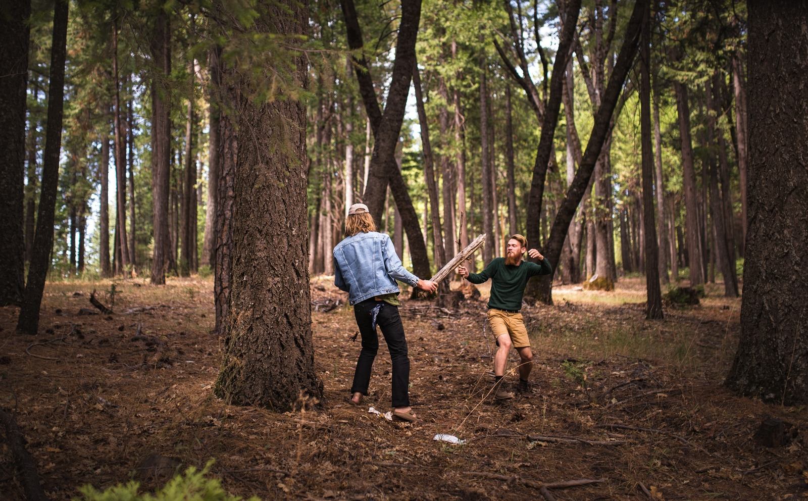 Forêt autour du lac Tahoe