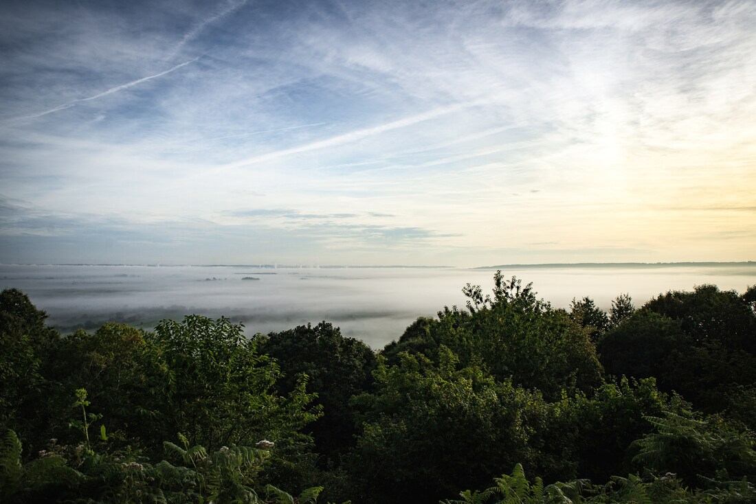 Le marais Vernier, Eure, Normandie