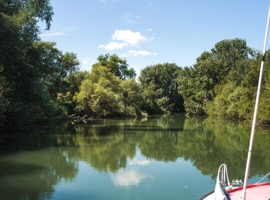 Bras de Seine un peu sauvage