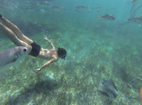 Snorkeling  Belize
