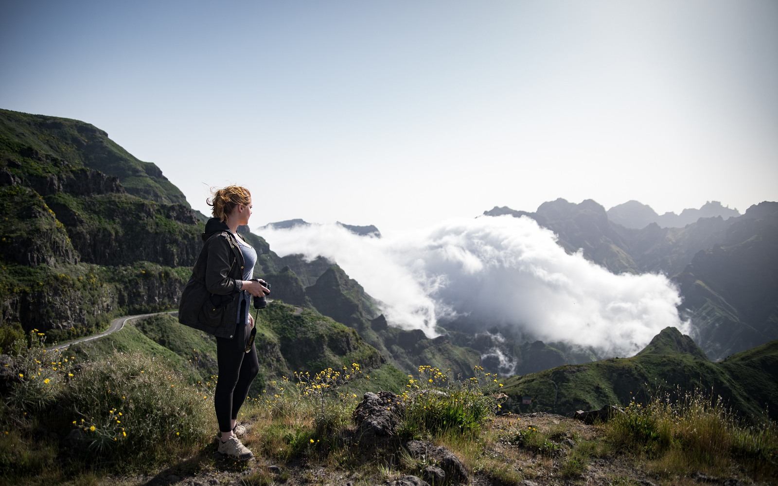 Plateau Paul da Serra, Madère Plateau Paul da Serra, Madère