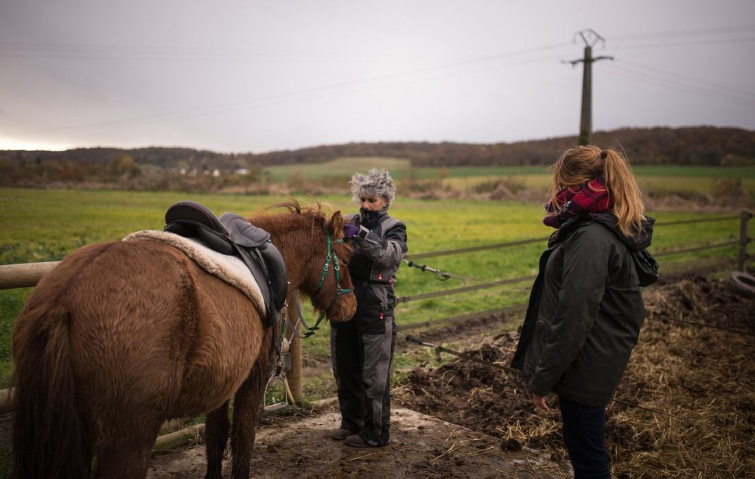 Préparer les chevaux avant la balade