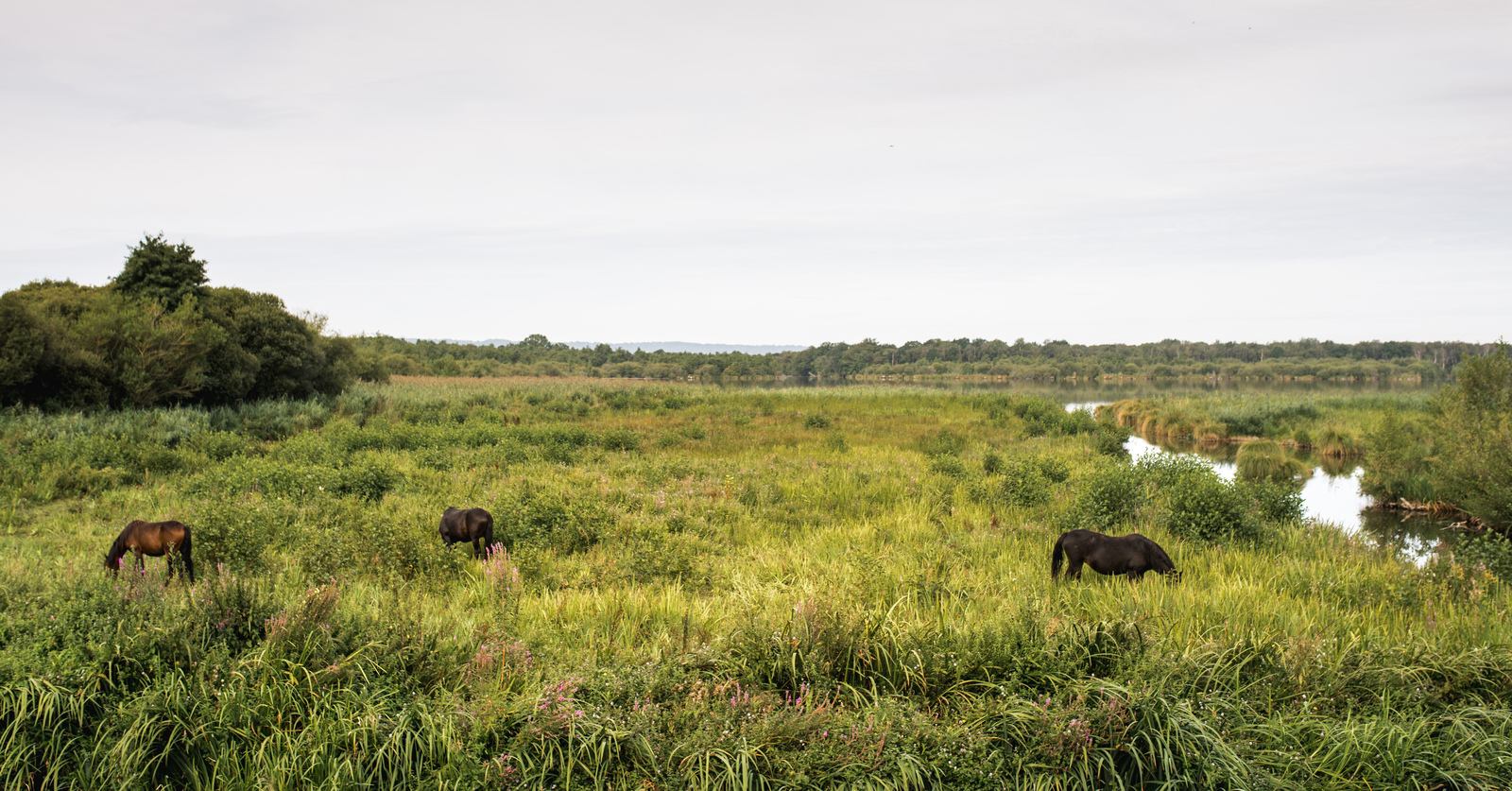 Observatoire de la Grand-Mare