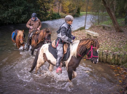 Balade à cheval, les pattes dans l'eau