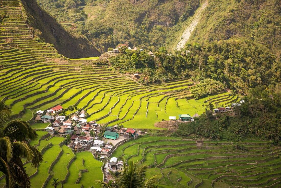 Les fameuses rizières de Batad, incroyable !