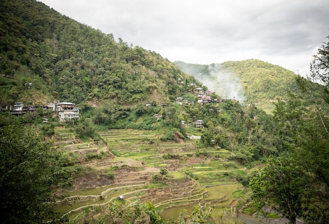 Des rizières en terrasse à Banaue