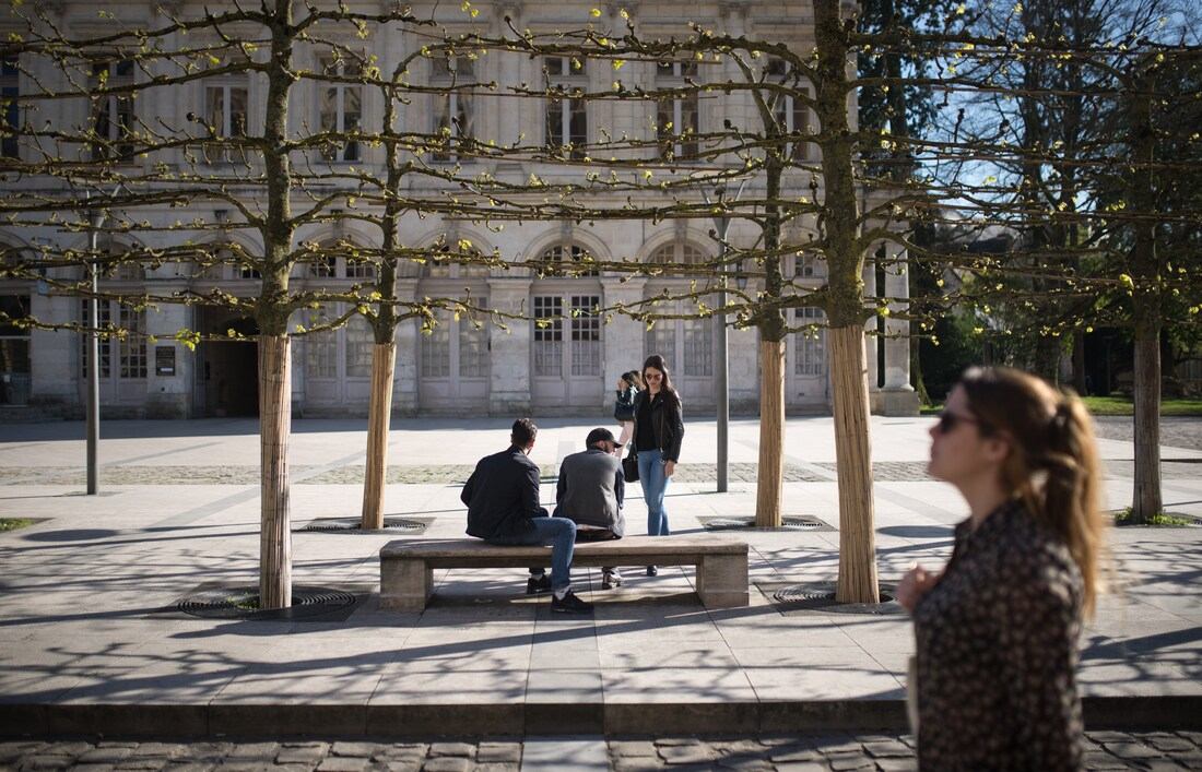 Vers les jardins de l'archeveché 