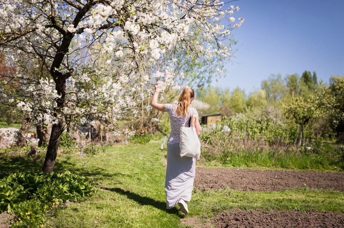 Dans la jolie parcelle de Valentin et ses amis 