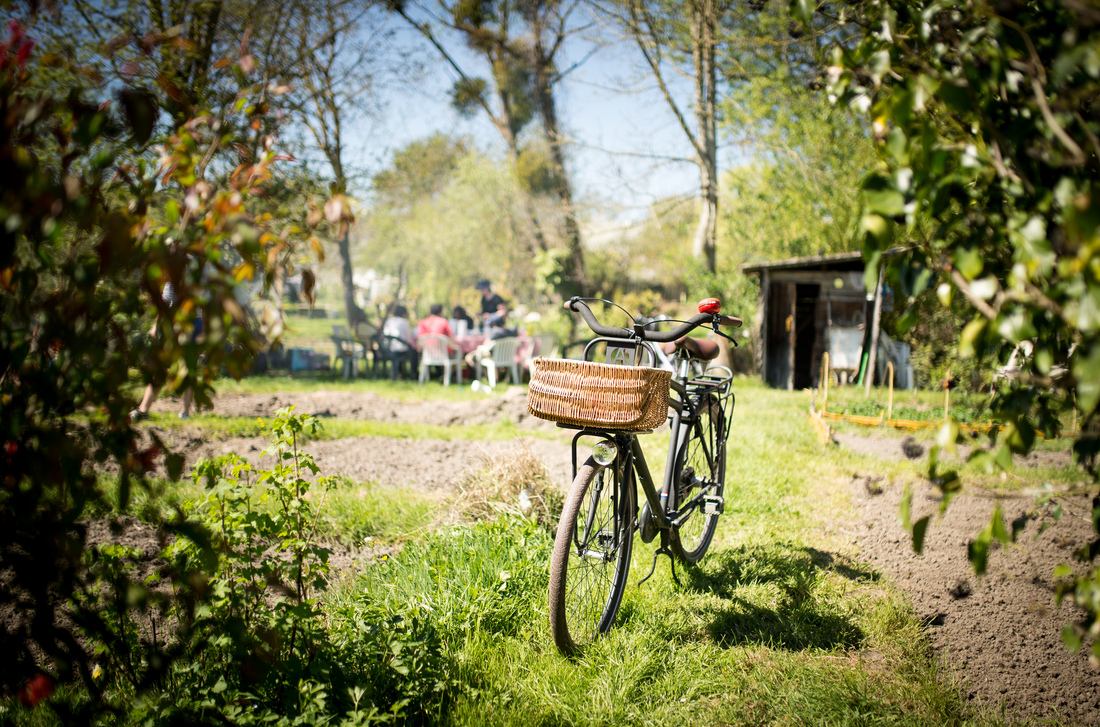 Se déplacer à vélo dans les marais 