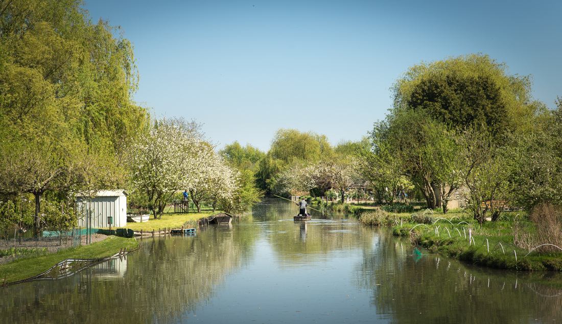 Se déplacer en barque sur l'eau des marais 