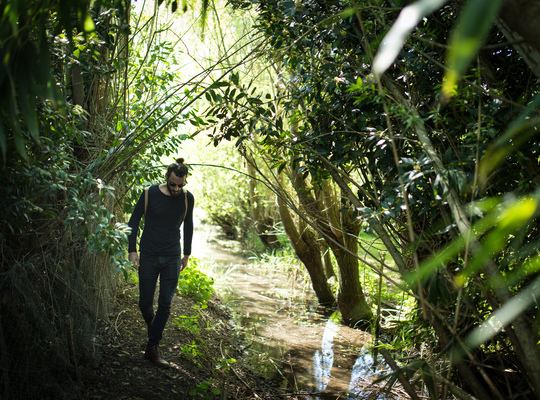 De la ville à la jungle : les étonnants marais de Bourges