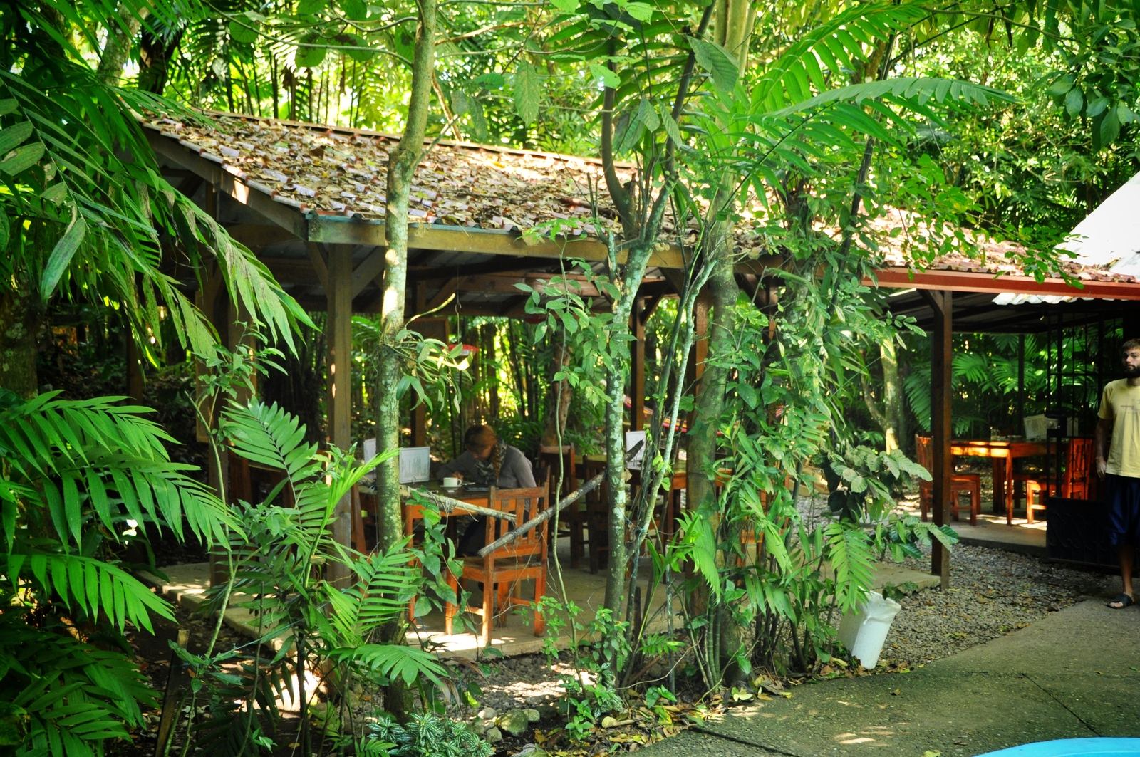 D&D Brewery, Honduras D&D Brewery, Honduras