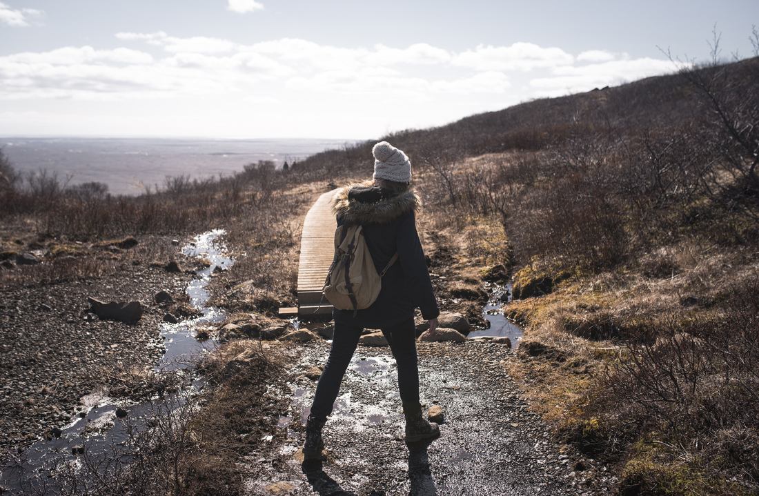 Manue dan le parc de Skaftafell