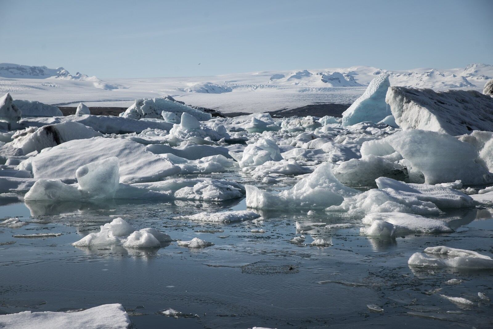 Icebergs par centaines, Jökulsárlón