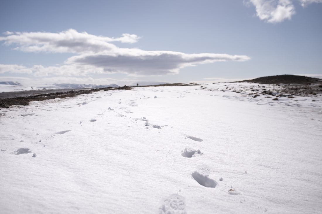 La neige en Islande
