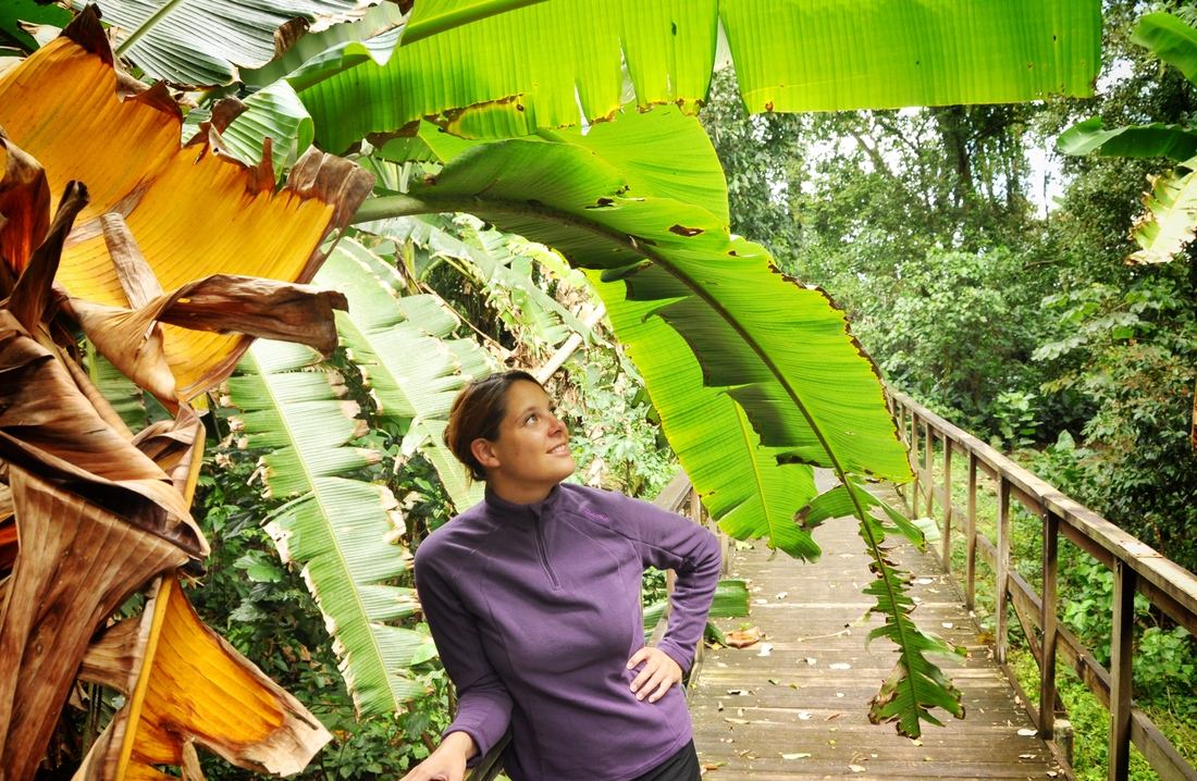 Manuelle, jungle du Honduras