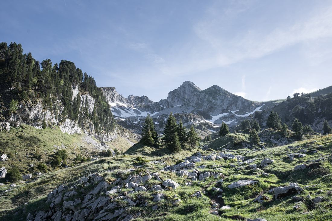La Sambuy au printemps