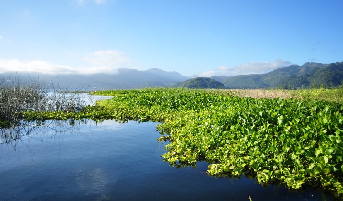 Honduras. Lago de Yojoa
