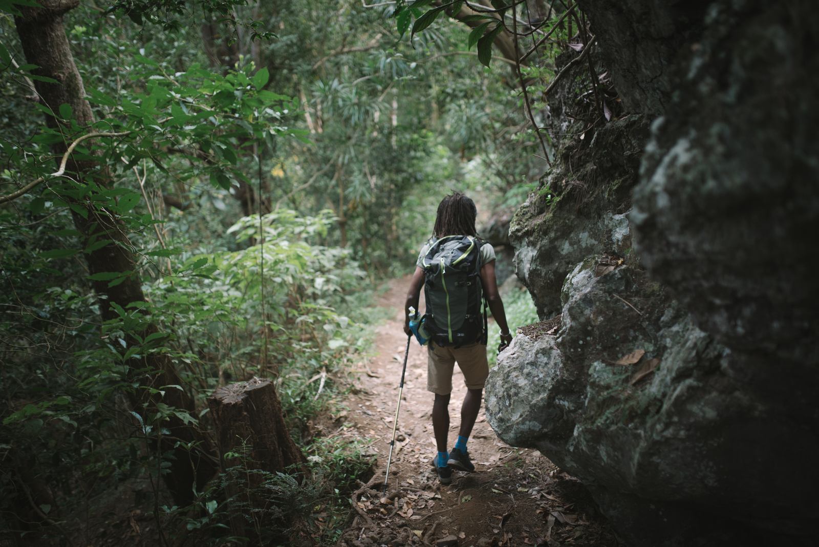 Suivre son guide au coeur de la jungle