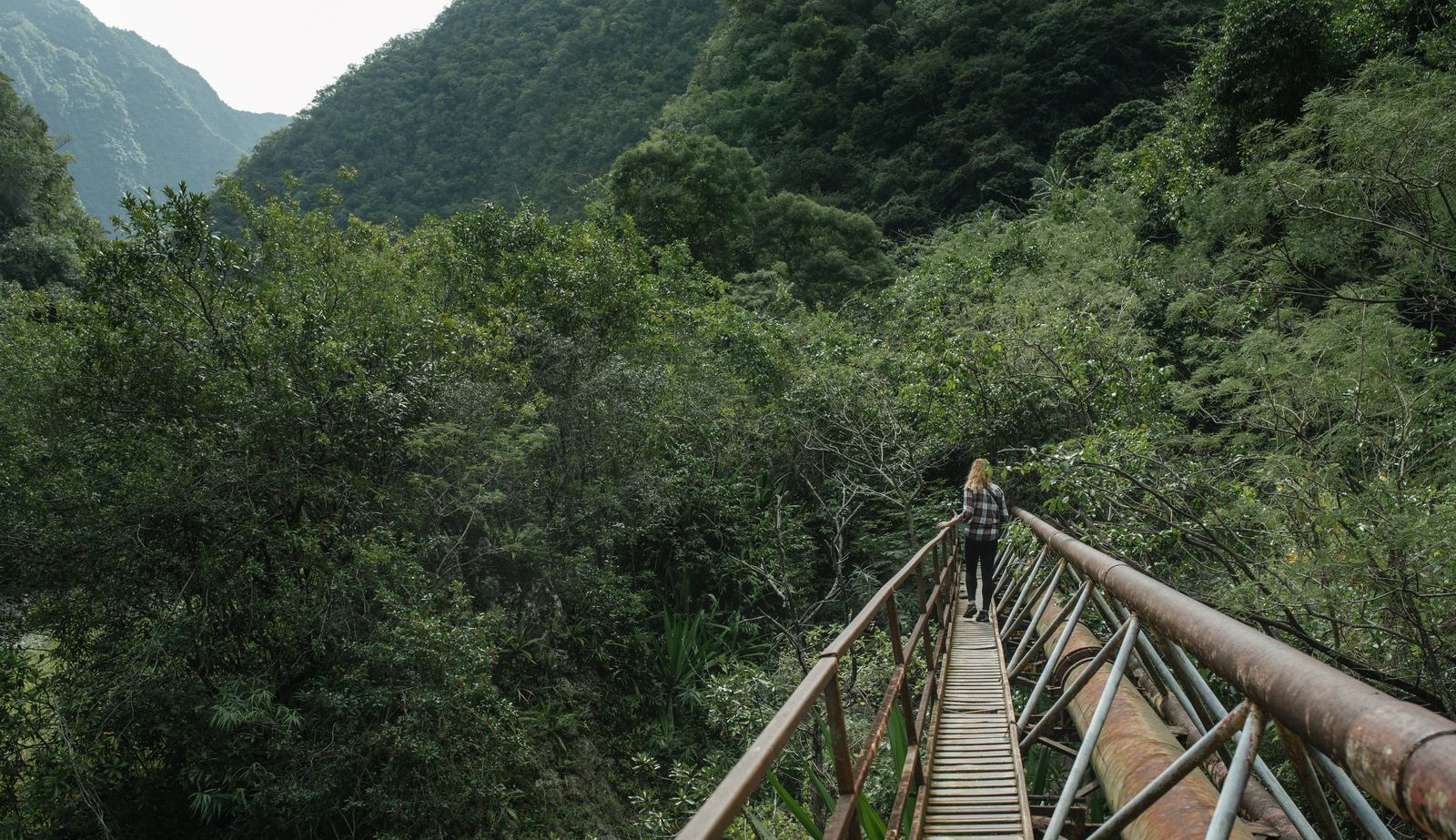 Traversée du pont (on n'aurait pas du...)