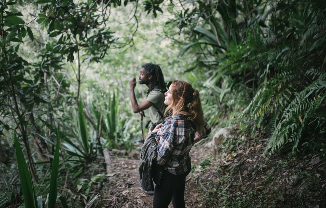 Patrice et Manue observant la végétation de La Réunion