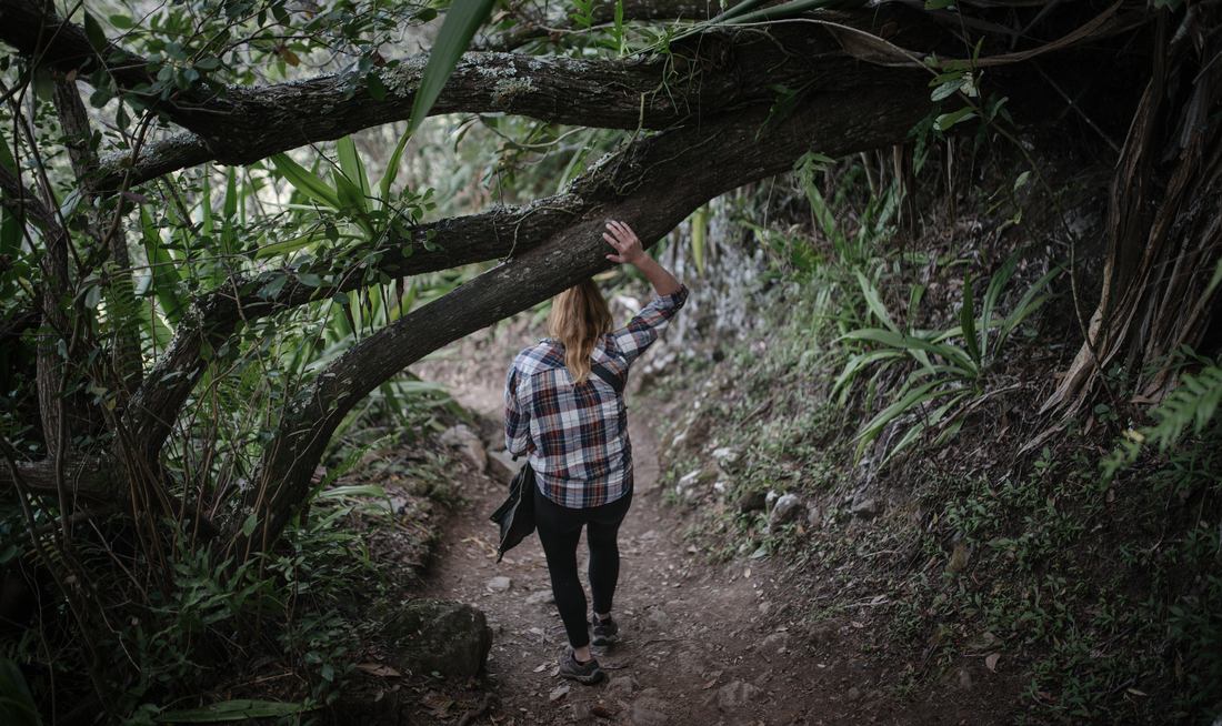 Au début de la randonnée
