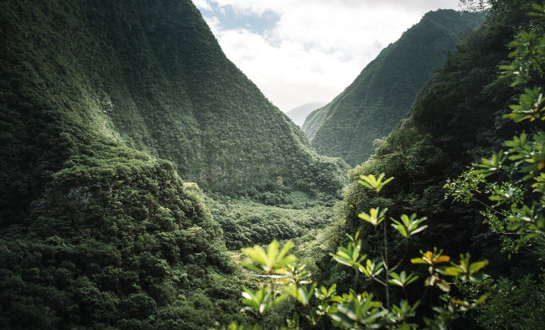 Paysage du centre de La Réunion 