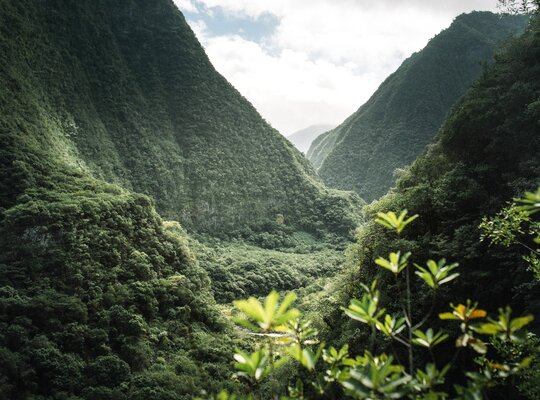 Premieres randonnées à la Réunion... et premier vol en hélico !