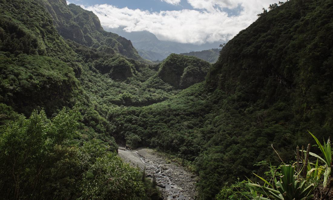 En direction du Piton des Neiges