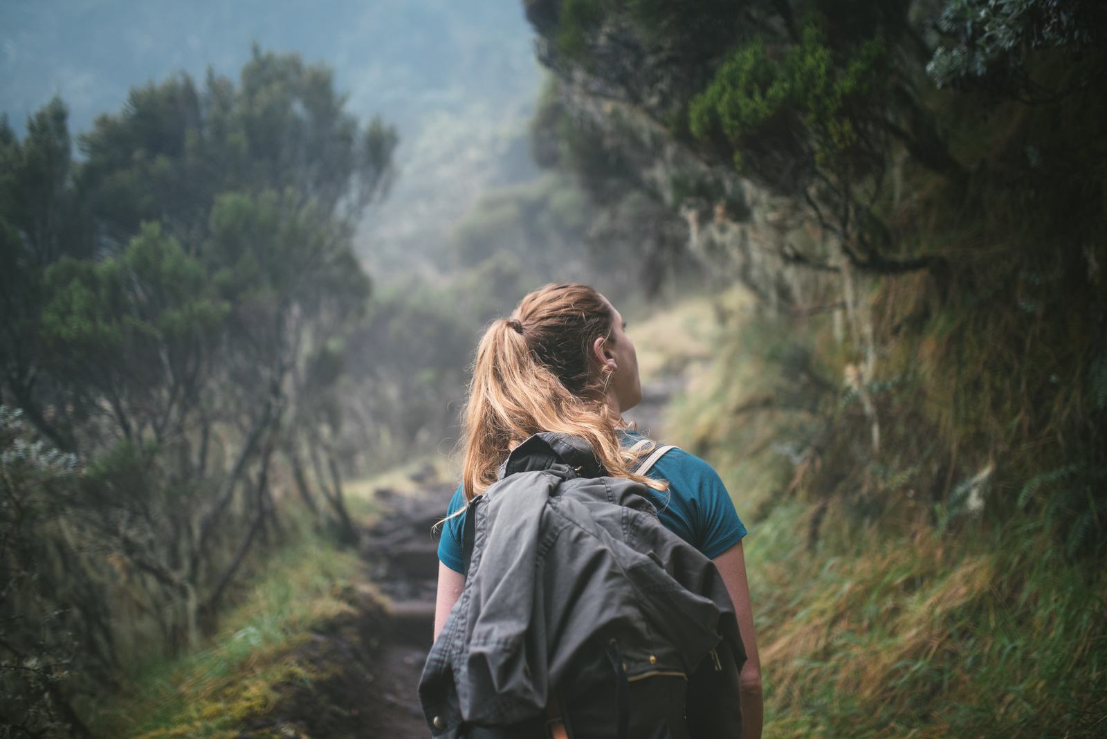 Manue dans la foret vers le Piton des Neiges 