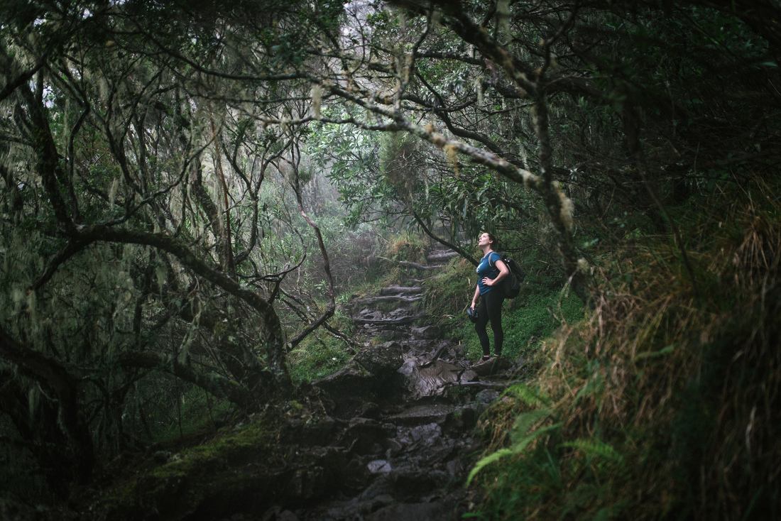 Première partie de l'ascension vers le Piton des Neiges 