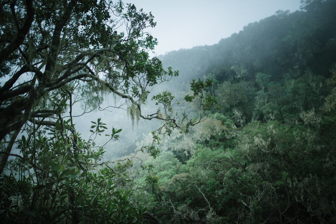 Le brouillard commence à nous envelopper 