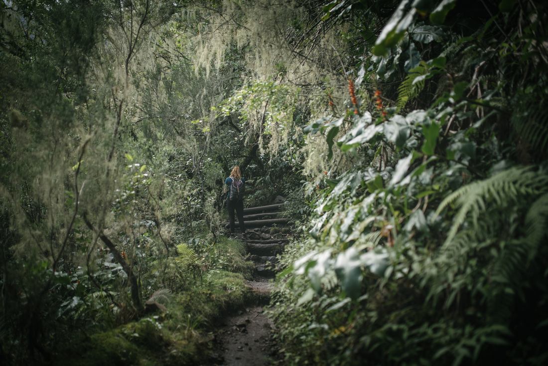 Encore des marches avant d'arriver au Refuge de la Caverne Dufour 