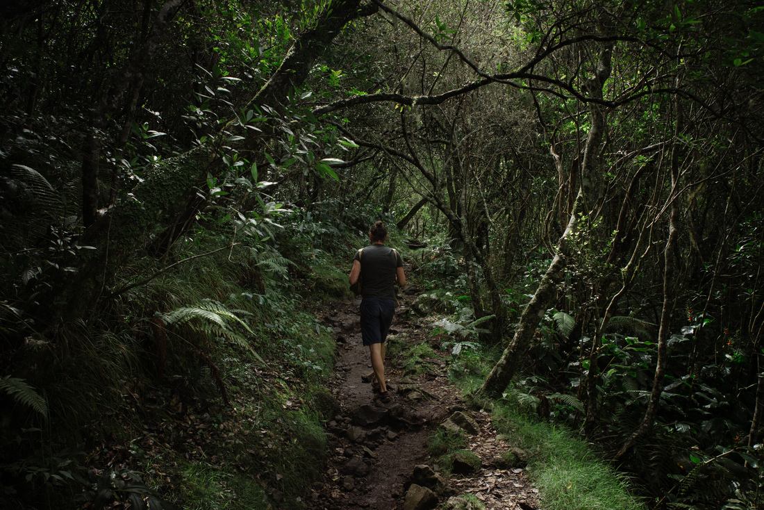 Seb dans la foret menant au Refuge de la Caverne Dufour 
