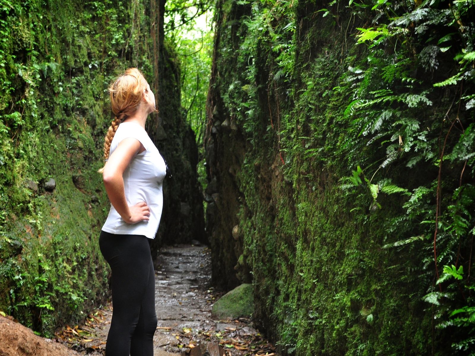 tunnel, volcan Mombacho Nicaragua tunnel, volcan Mombacho Nicaragua