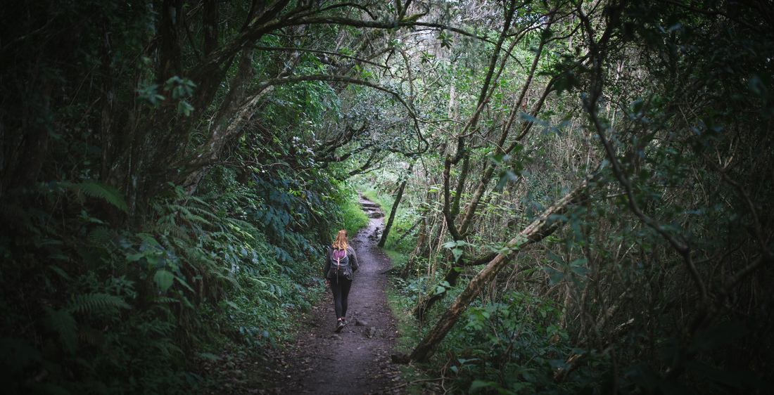 Au début de la randonnée vers le Piton des Neiges 